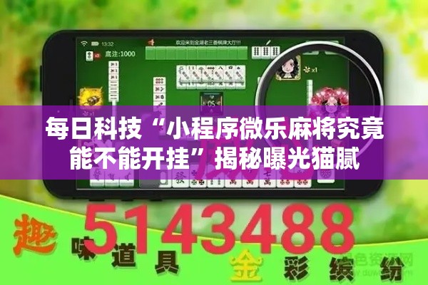 每日科技“小程序微乐麻将究竟能不能开挂”揭秘曝光猫腻