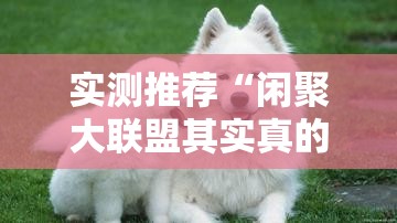 实测推荐“闲聚大联盟其实真的有挂	”事实上真的有挂