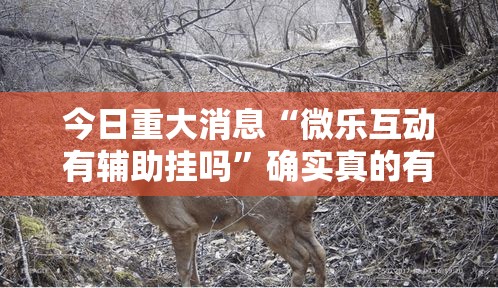 今日重大消息“微乐互动有辅助挂吗”确实真的有挂