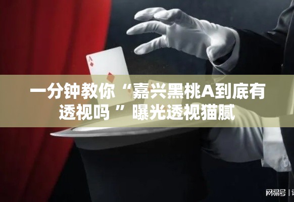 一分钟教你“嘉兴黑桃A到底有透视吗 	”曝光透视猫腻