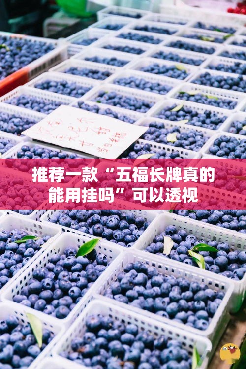推荐一款“五福长牌真的能用挂吗	”可以透视