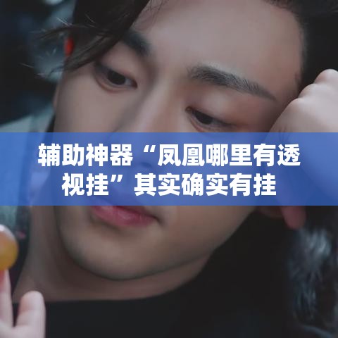 辅助神器“凤凰哪里有透视挂	”其实确实有挂