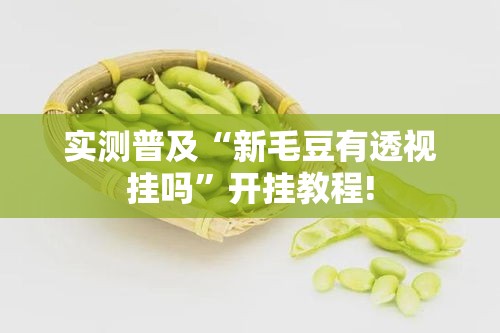 实测普及“新毛豆有透视挂吗”开挂教程!