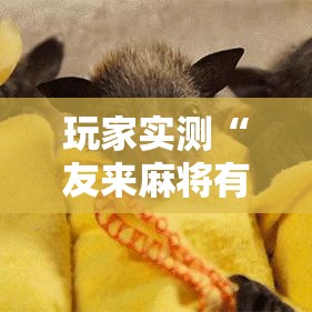 玩家实测“友来麻将有没有能用挂呢”真的可以开挂