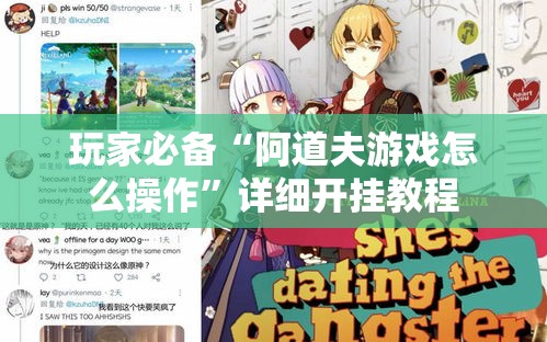 玩家必备“阿道夫游戏怎么操作	”详细开挂教程