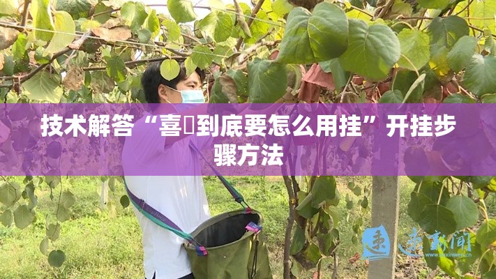 技术解答“喜園到底要怎么用挂”开挂步骤方法