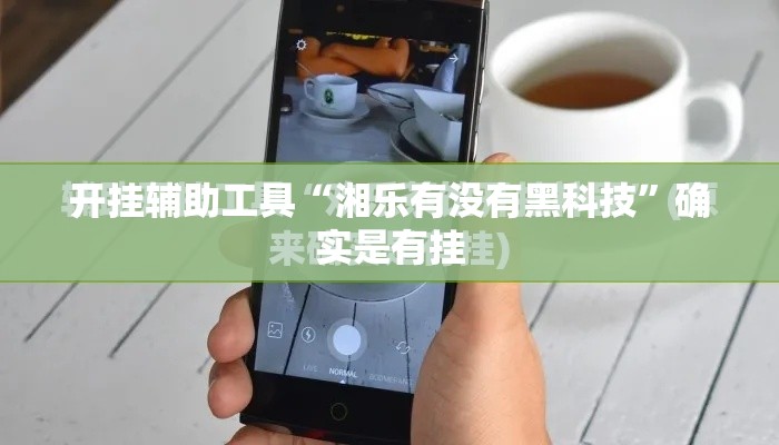 开挂辅助工具“湘乐有没有黑科技”确实是有挂