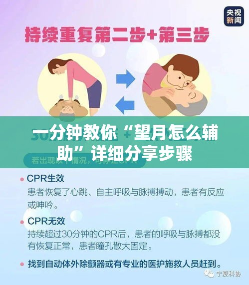 一分钟教你“望月怎么辅助”详细分享步骤