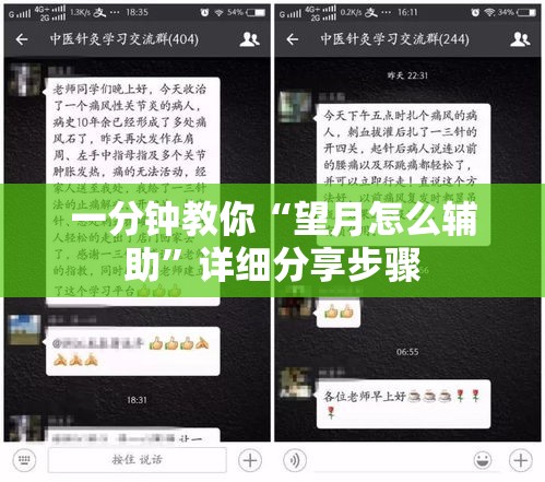 一分钟教你“望月怎么辅助”详细分享步骤