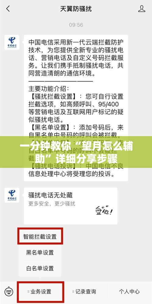一分钟教你“望月怎么辅助”详细分享步骤