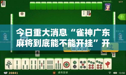 今日重大消息“雀神广东麻将到底能不能开挂”开挂详细方法