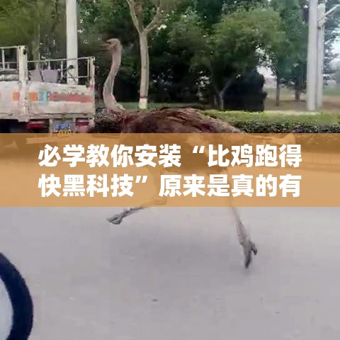 必学教你安装“比鸡跑得快黑科技”原来是真的有