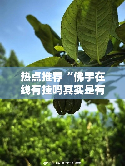 热点推荐“佛手在线有挂吗其实是有挂”其实有挂