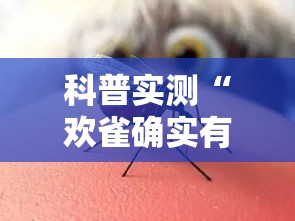 科普实测“欢雀确实有开挂	”事实上真的有挂