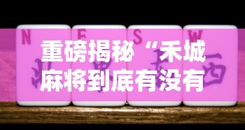 重磅揭秘“禾城麻将到底有没有透视”其实是有挂