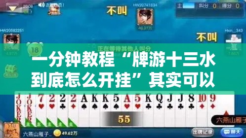 一分钟教程“牌游十三水到底怎么开挂”其实可以装挂