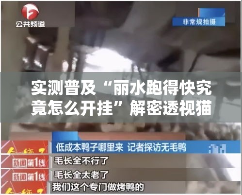 实测普及“丽水跑得快究竟怎么开挂”解密透视猫腻