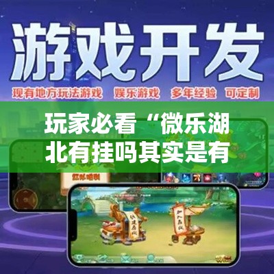 玩家必看“微乐湖北有挂吗其实是有挂”2026用挂