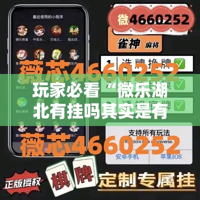 玩家必看“微乐湖北有挂吗其实是有挂”2026用挂