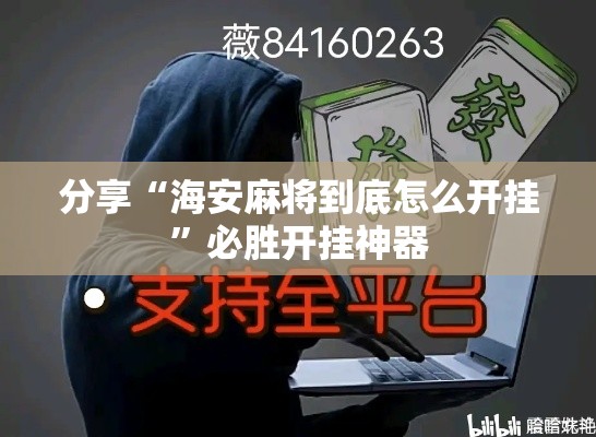 分享“海安麻将到底怎么开挂	”必胜开挂神器