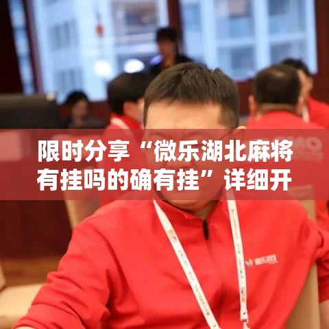 限时分享“微乐湖北麻将有挂吗的确有挂	”详细开挂玩法