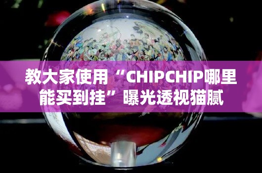 教大家使用“CHIPCHIP哪里能买到挂”曝光透视猫腻