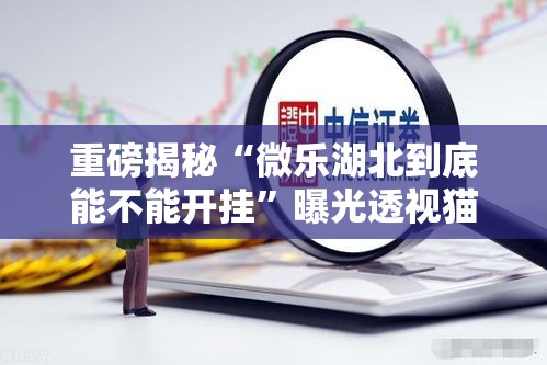重磅揭秘“微乐湖北到底能不能开挂	”曝光透视猫腻