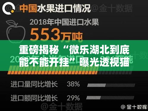 重磅揭秘“微乐湖北到底能不能开挂	”曝光透视猫腻