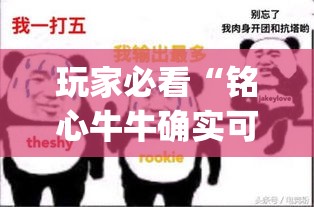 玩家必看“铭心牛牛确实可以开挂吗”(确实有挂)