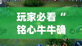 玩家必看“铭心牛牛确实可以开挂吗”(确实有挂)