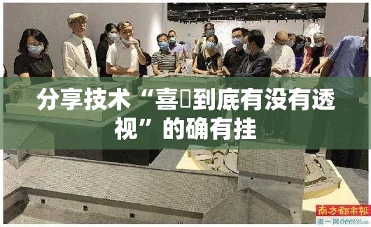 分享技术“喜園到底有没有透视”的确有挂