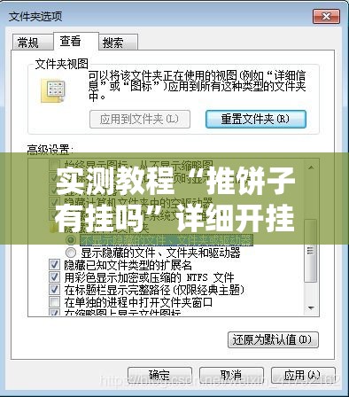 实测教程“推饼子有挂吗”详细开挂步骤