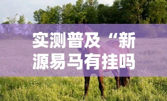 实测普及“新源易马有挂吗的确可以	”原来确实有挂
