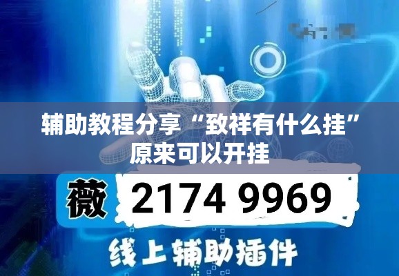 辅助教程分享“致祥有什么挂”原来可以开挂