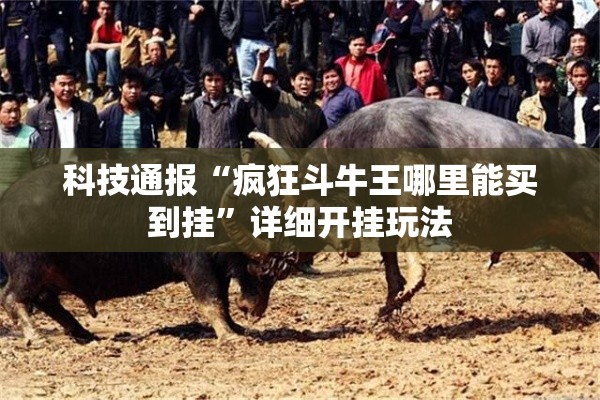 科技通报“疯狂斗牛王哪里能买到挂”详细开挂玩法