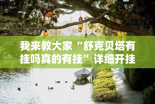 我来教大家“舒克贝塔有挂吗真的有挂”详细开挂方法