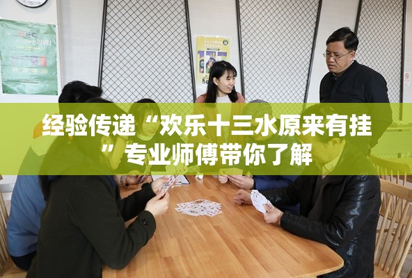 经验传递“欢乐十三水原来有挂”专业师傅带你了解