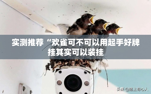 实测推荐“欢雀可不可以用起手好牌挂其实可以装挂 实测推荐“欢雀可不可以用起手好牌挂其实可以装挂