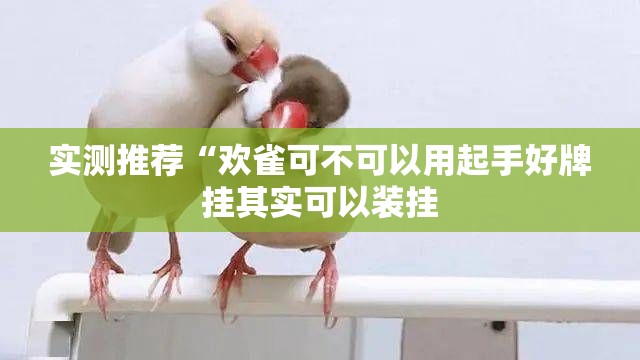 实测推荐“欢雀可不可以用起手好牌挂其实可以装挂 实测推荐“欢雀可不可以用起手好牌挂其实可以装挂