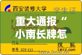 重大通报“小南长牌怎么装挂（确实有挂）