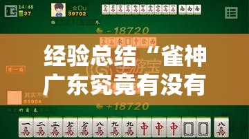 经验总结“雀神广东究竟有没有挂”可以辅助