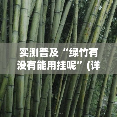 实测普及“绿竹有没有能用挂呢	”(详细辅助脚本)