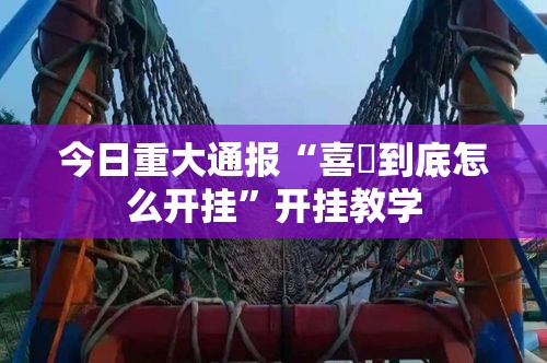 今日重大通报“喜園到底怎么开挂”开挂教学