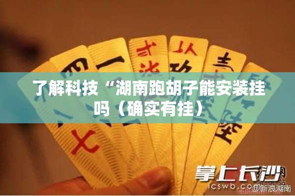 了解科技“湖南跑胡子能安装挂吗(确实有挂) 了解科技“湖南跑胡子能安装挂吗(确实有挂)