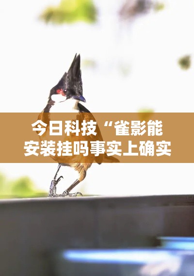 今日科技“雀影能安装挂吗事实上确实有挂