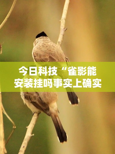 今日科技“雀影能安装挂吗事实上确实有挂