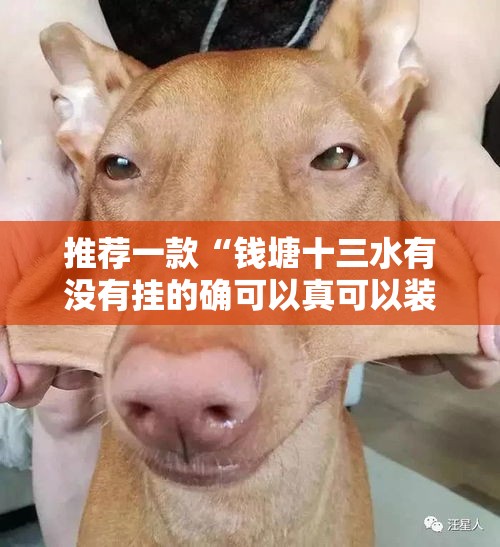 推荐一款“钱塘十三水有没有挂的确可以真可以装挂 推荐一款“钱塘十三水有没有挂的确可以真可以装挂