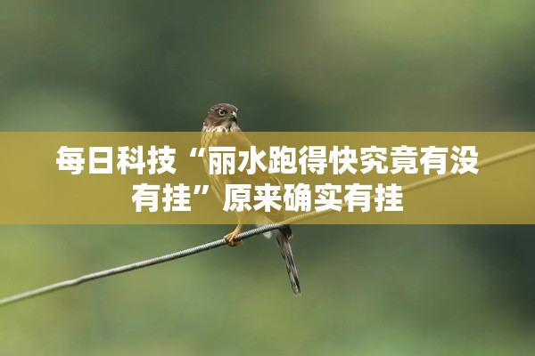 每日科技“丽水跑得快究竟有没有挂	”原来确实有挂