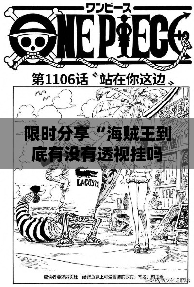 限时分享“海贼王到底有没有透视挂吗”专业师傅带你了解