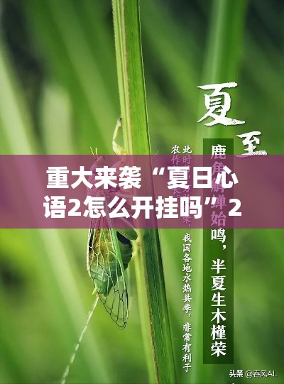 重大来袭“夏日心语2怎么开挂吗”2026用挂